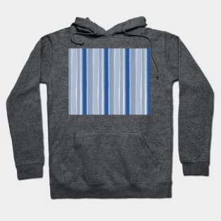 Blue lines Hoodie